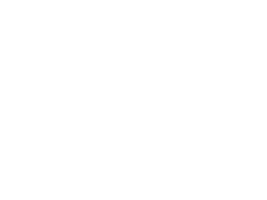 Wirth Model Immobilien