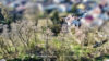 Mehrfamilienhaus mit Scheune, Doppelgarage und Nebengebäuden in Ortsrandlage | 4.800 m² - Liegenschaft