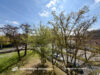 Großzügige und lichtdurchflutete 3,5-Zi.-WHG mit großem Balkon und Garage am Leopoldina KH|Bestlage - Balkon